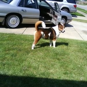 Meet your Posher, Patrick